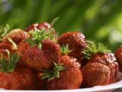 есть тарелка клубники на столе с зеленым фоном