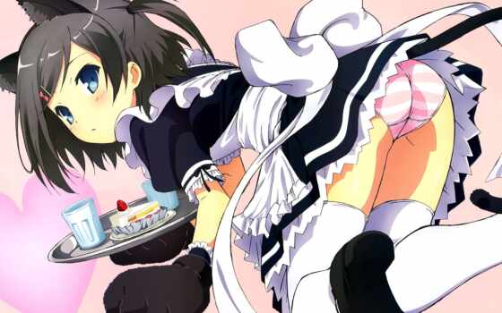 Cat girl maid anime