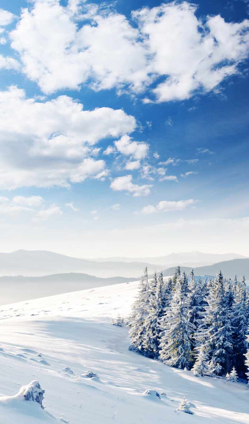 free, фон, вектор, снег, winter, landscape