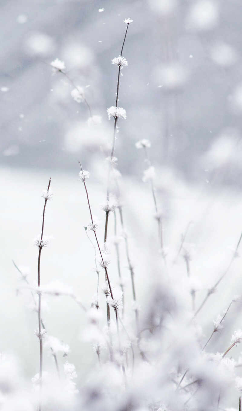 mobile, background, winter, tablet, photo collage