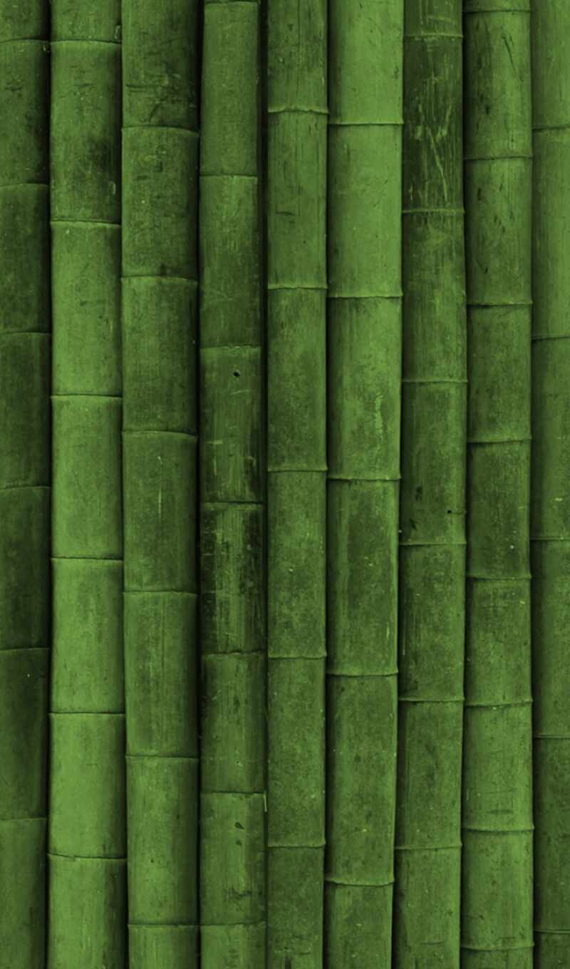 texture, green