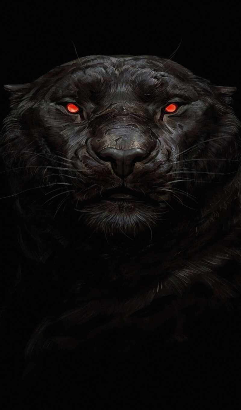 black, predator, muzzle, ass, darkness, felidae, ground animal, big cats, black cat