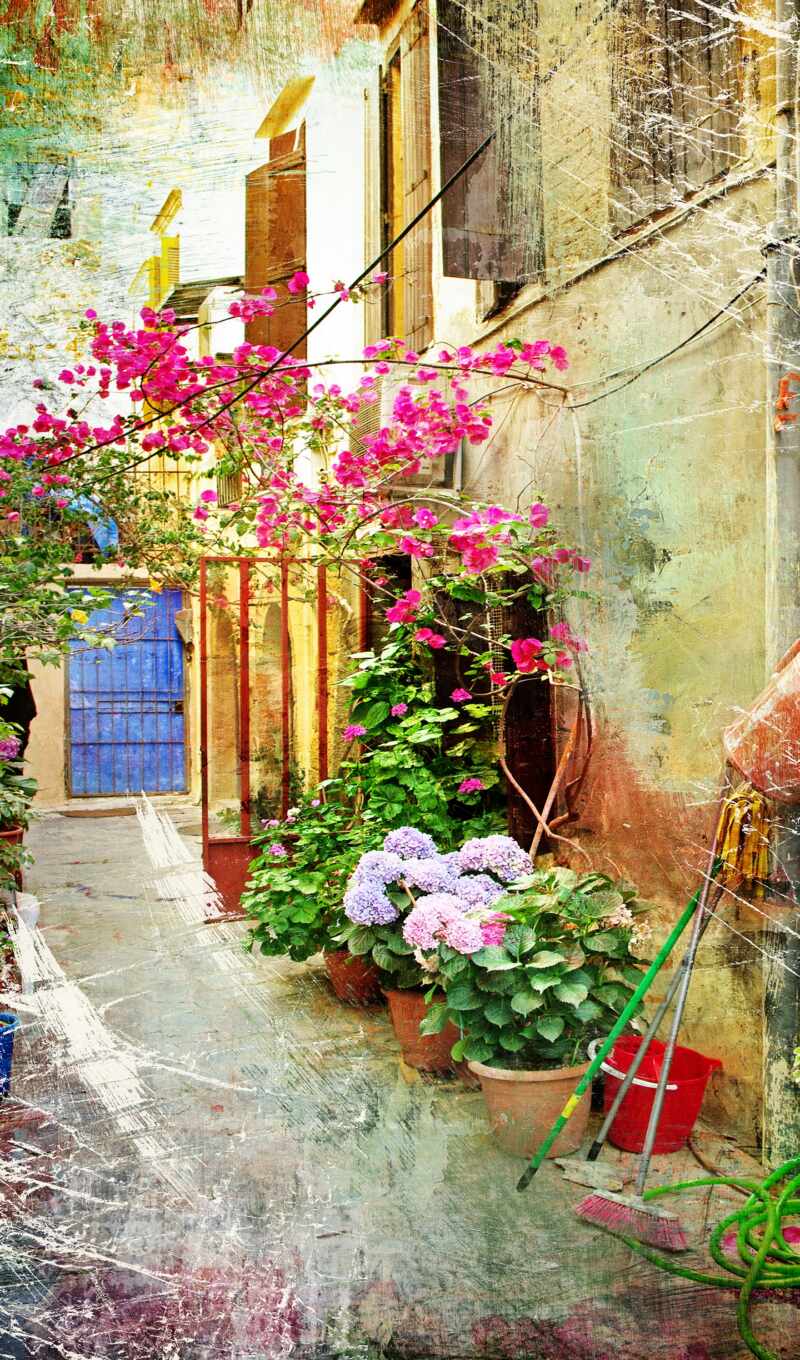 window, flower, painting, pink, spring, alley, Greece, factory, florist, flower growing, flower, stock photography, no, oily painting, flora