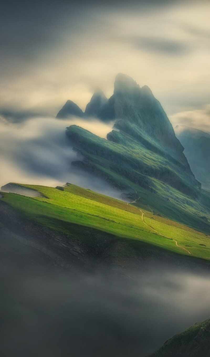 лошадь, single, mountains, туман, clouds, covered, low