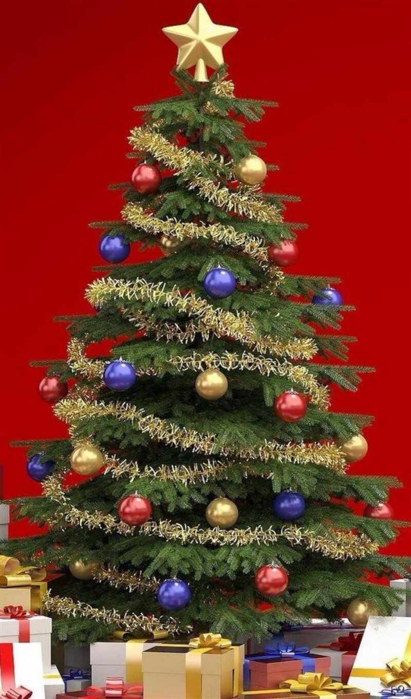 christmas, Christmas tree