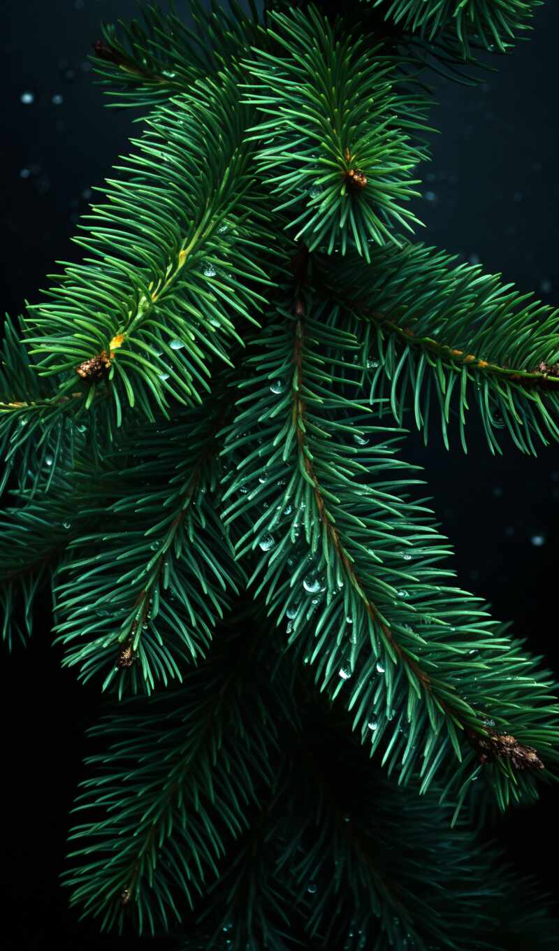 дерево, christmas