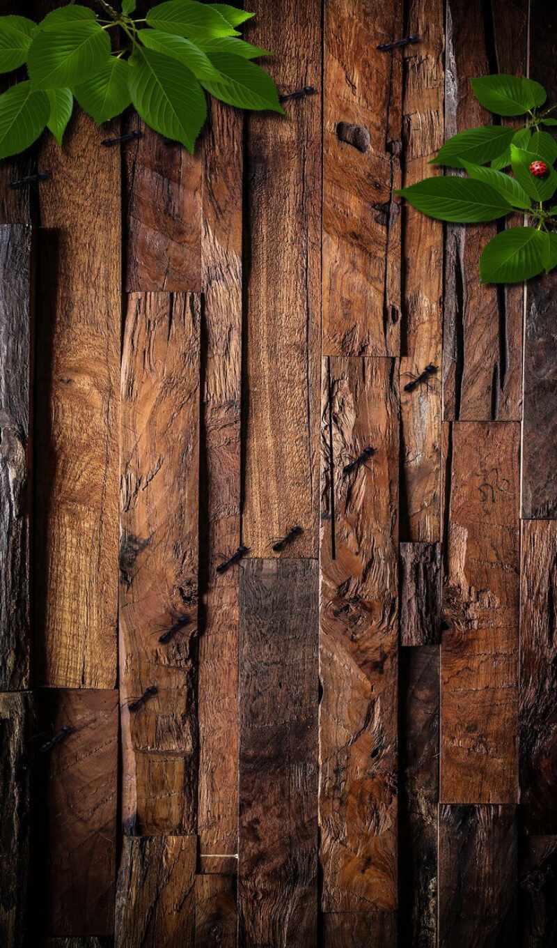 wood, ft, backdrop, поддон