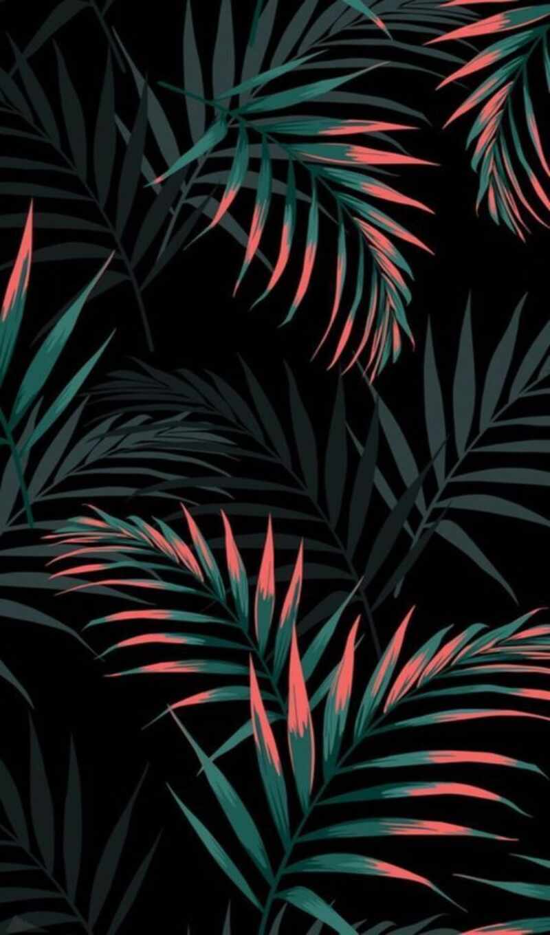 parede, papel, pattern, tropical, illustration, leaf, seamless, yuliia