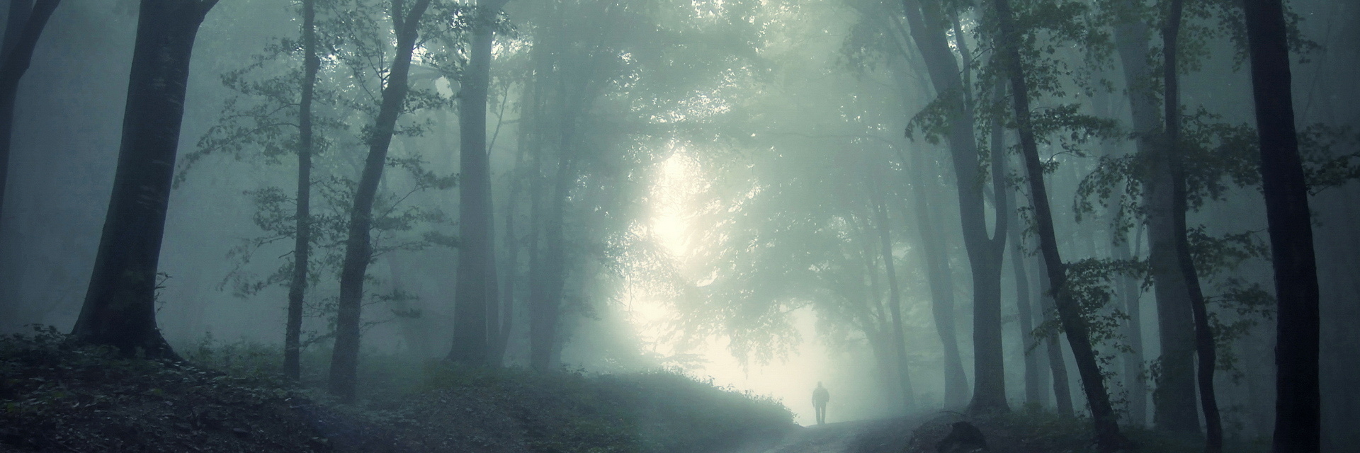 Вересковый лес в тумане