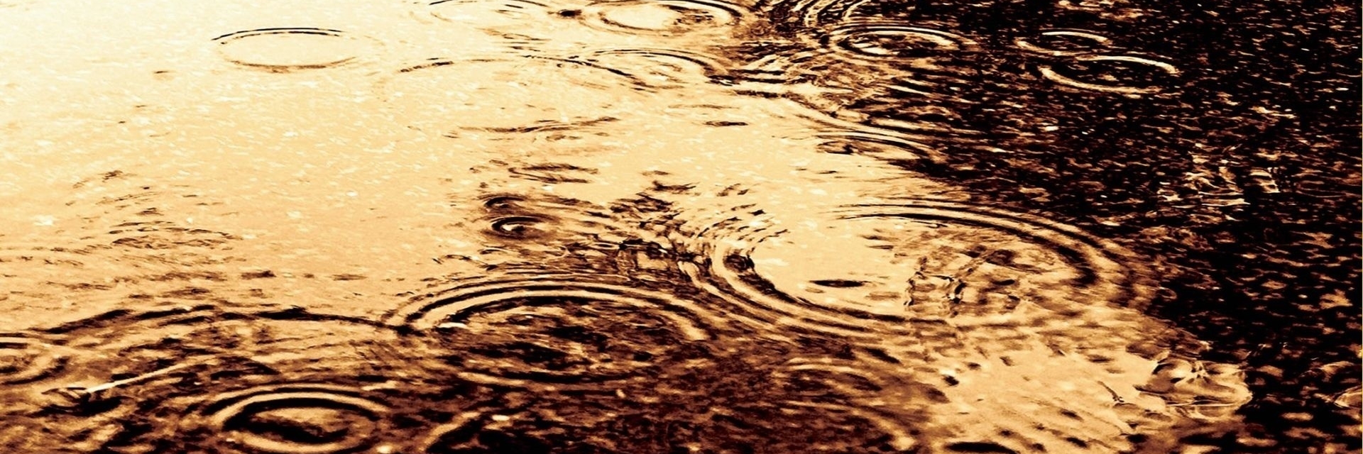 Круги на воде. Капли дождя на воде. Коричневая вода. Красивая лужа. Желто коричневая вода