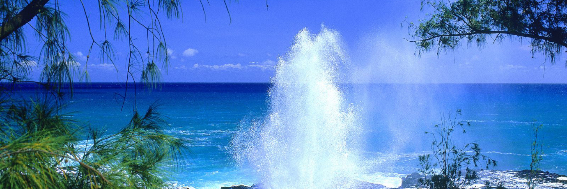 Живое море на телефон. Гаваи. Остров Гавайи. Гавайи фото острова. Сайпан Прибой.