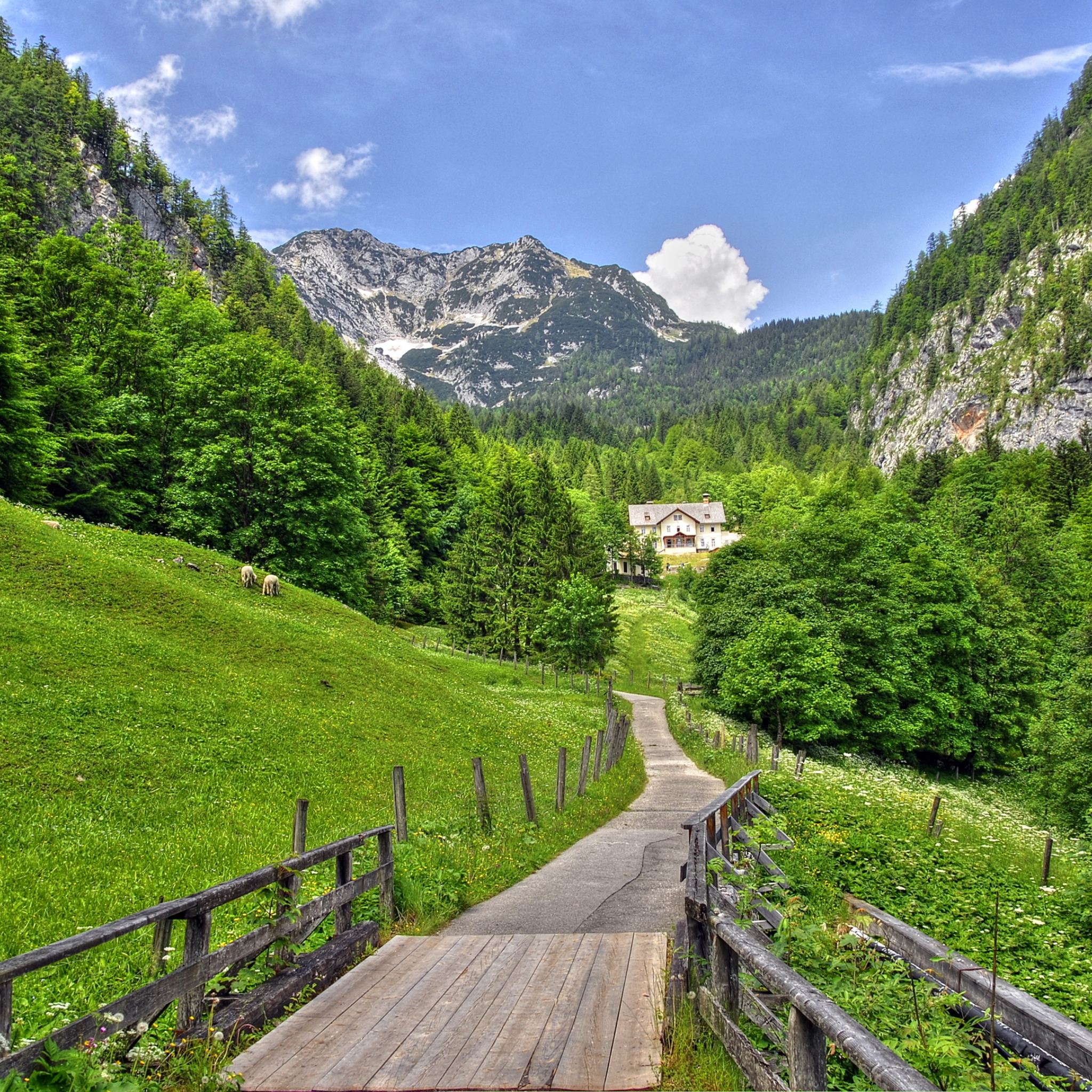 Nature places. Зеленые холмы Швейцарии. Альпы Швейцария. Новая Зеландия деревня в горах. Деревня в Альпах.