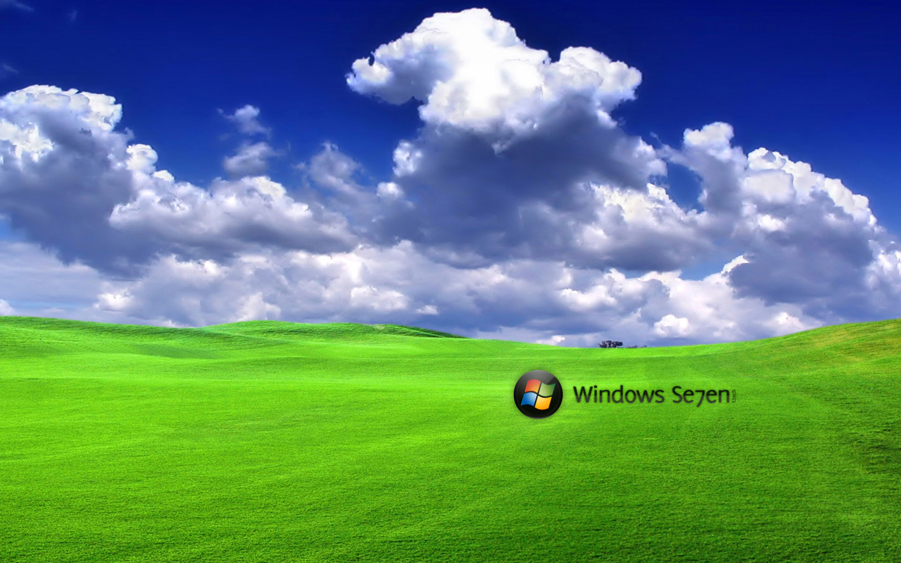 Windows xp sony