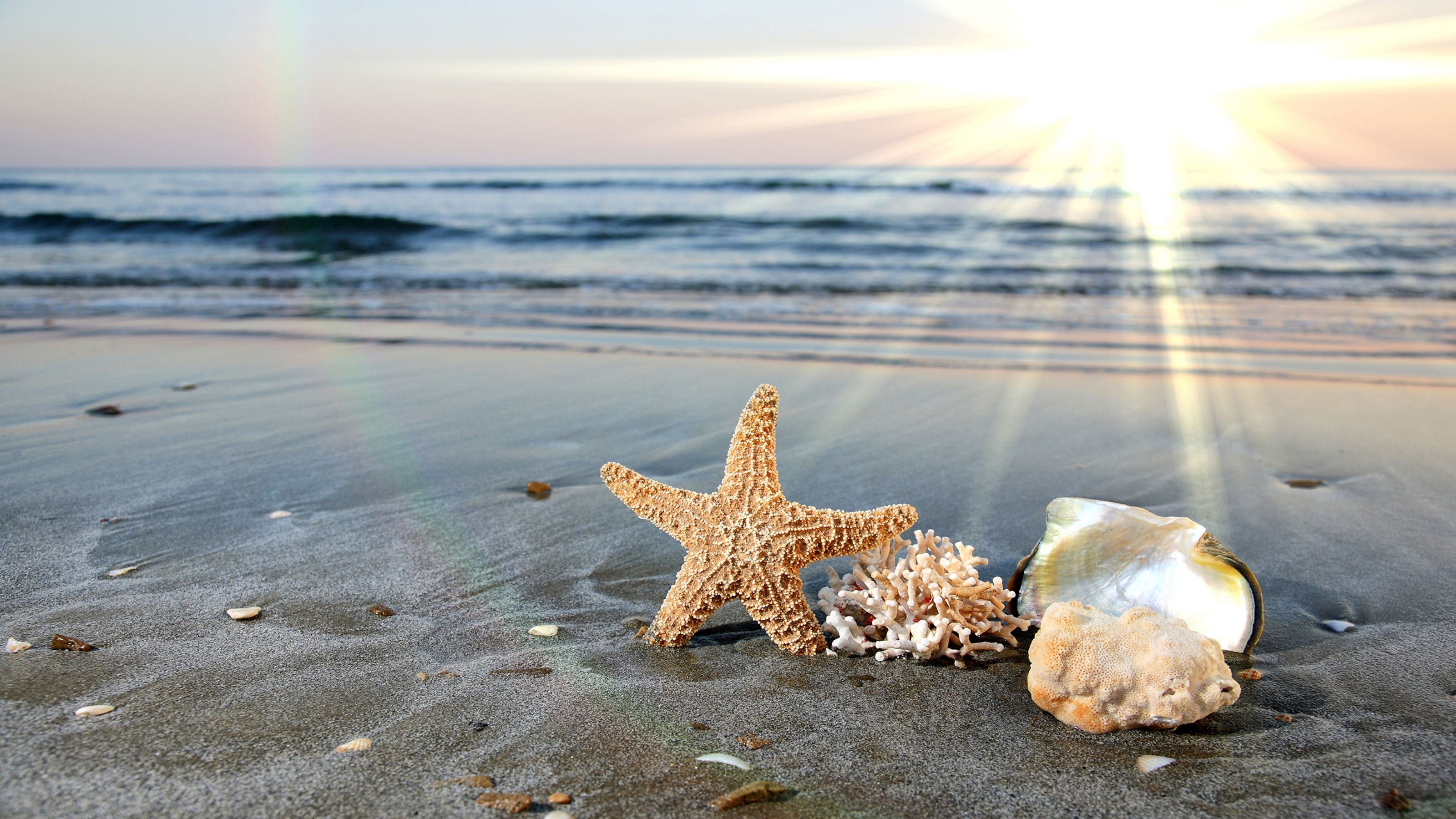 Здесь вас ждут морские пляжи. Море солнце. Море солнце пляж. Морская звезда. Красивое море.