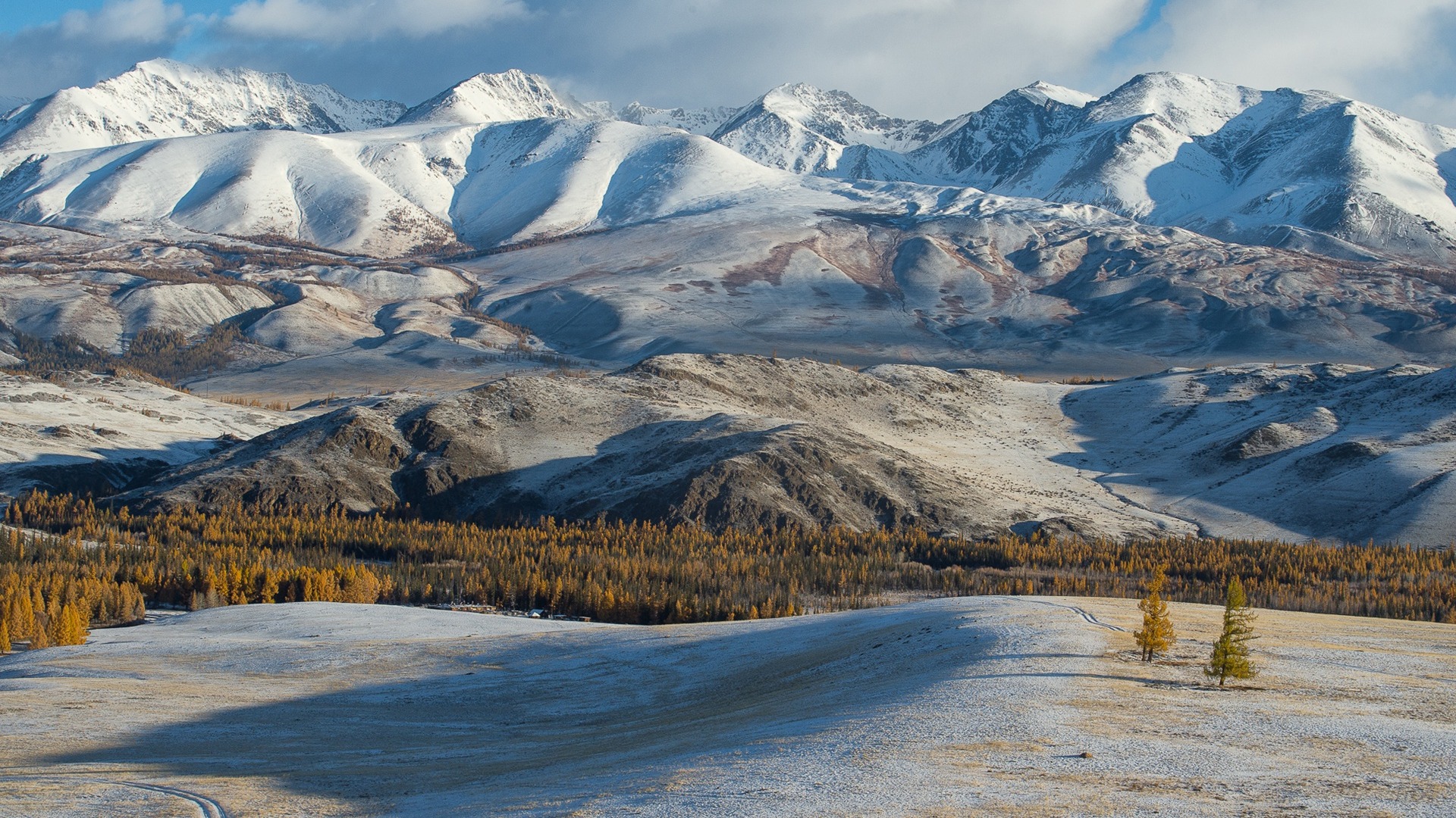 знаменитости, яндекс