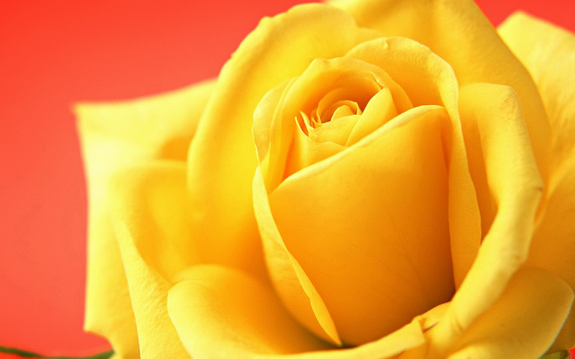  взт, свежий