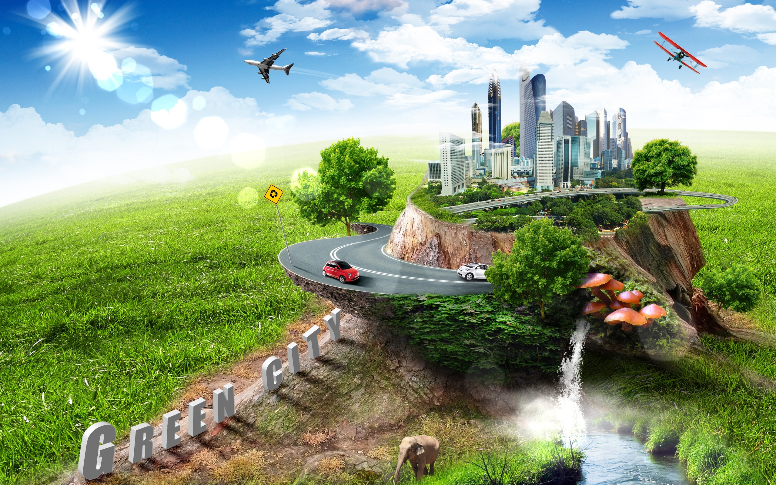 люди, коллекционер