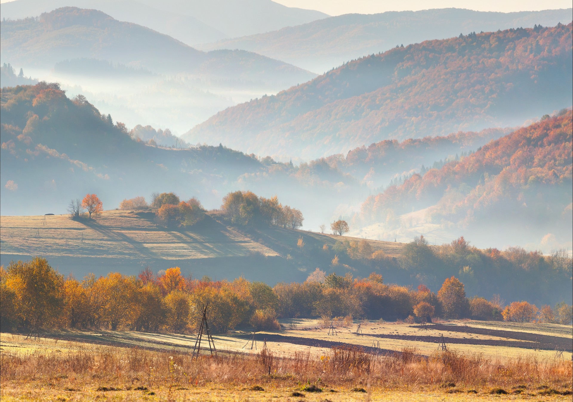 пейзаж, осень