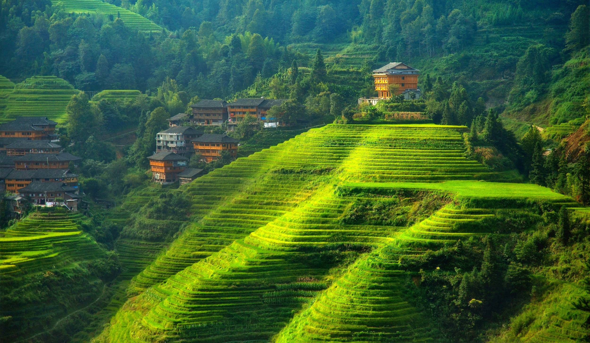 настольный, пейзаж, китай