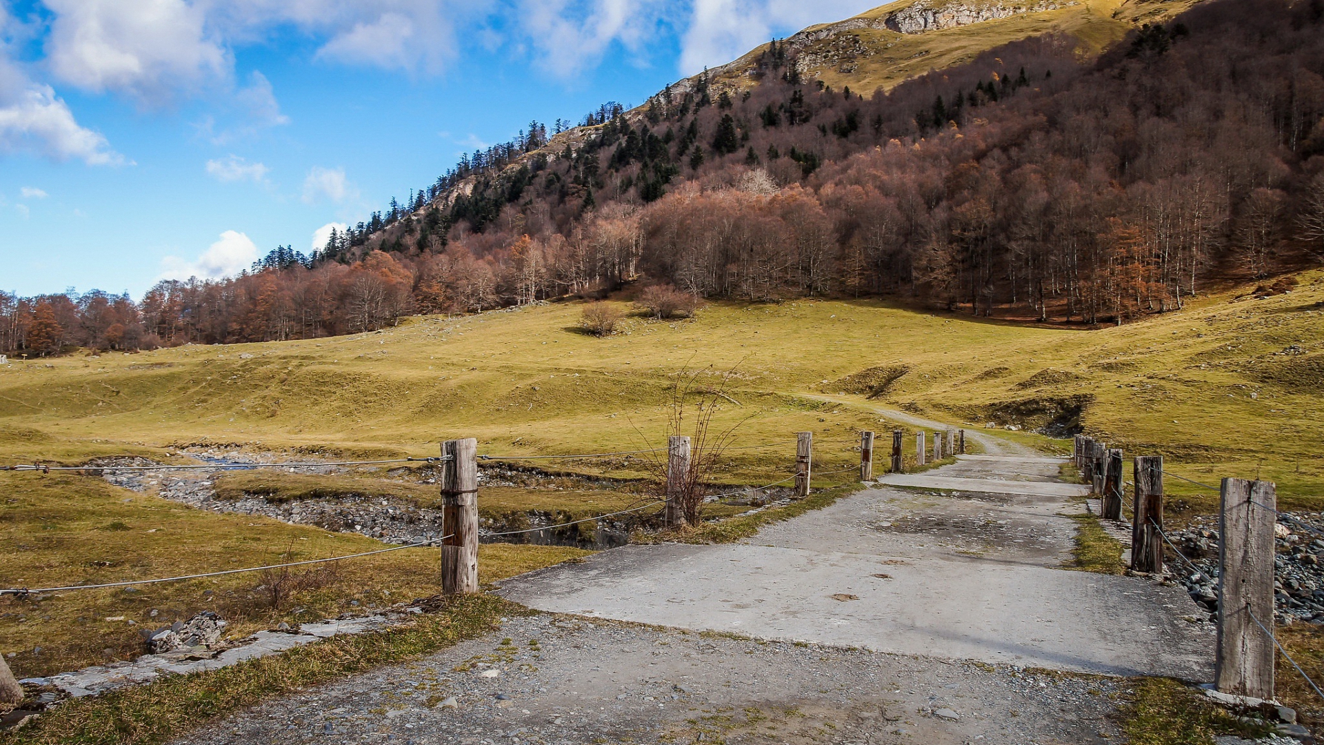 комарка, кислый