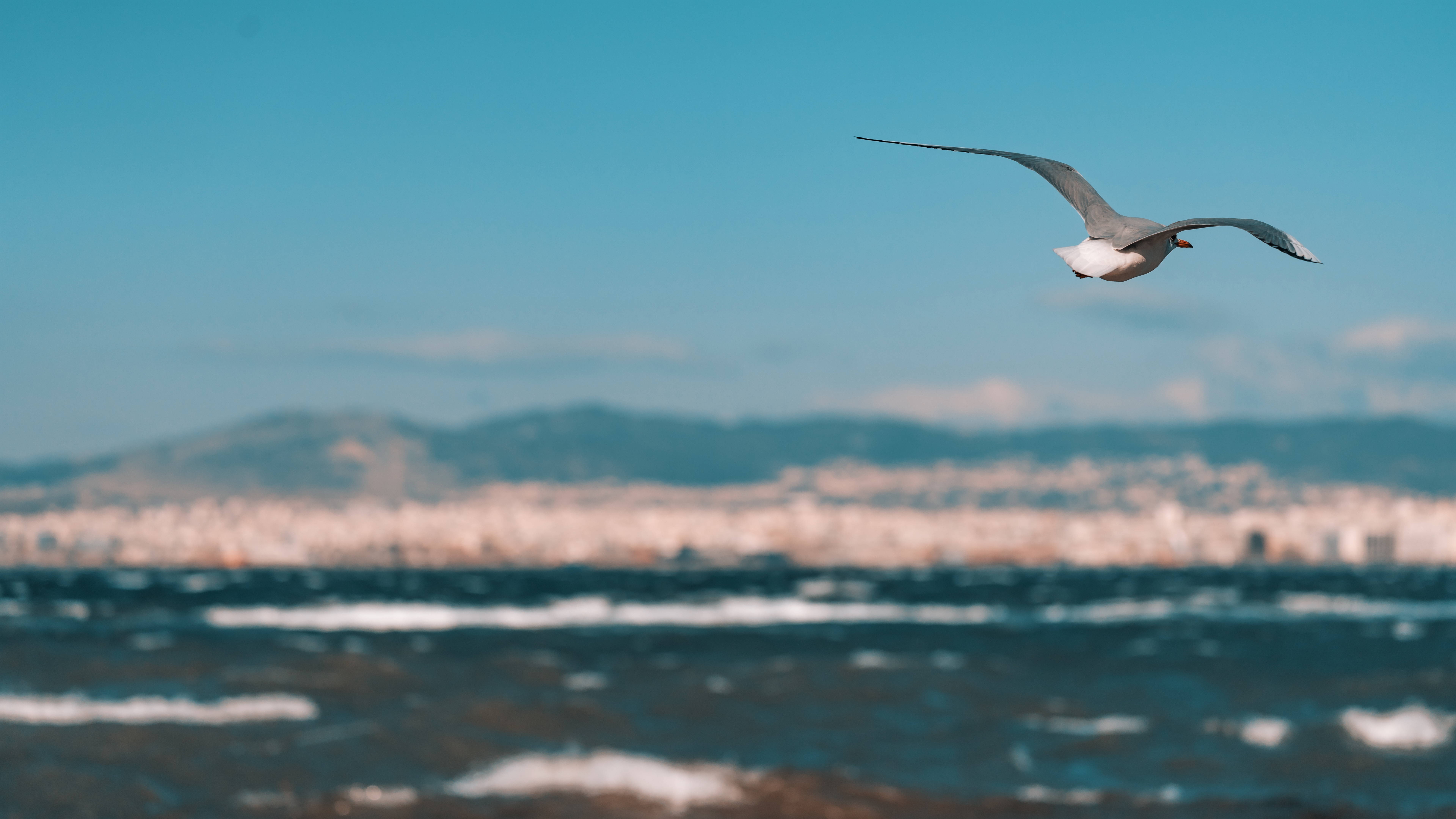 сорняки, значок