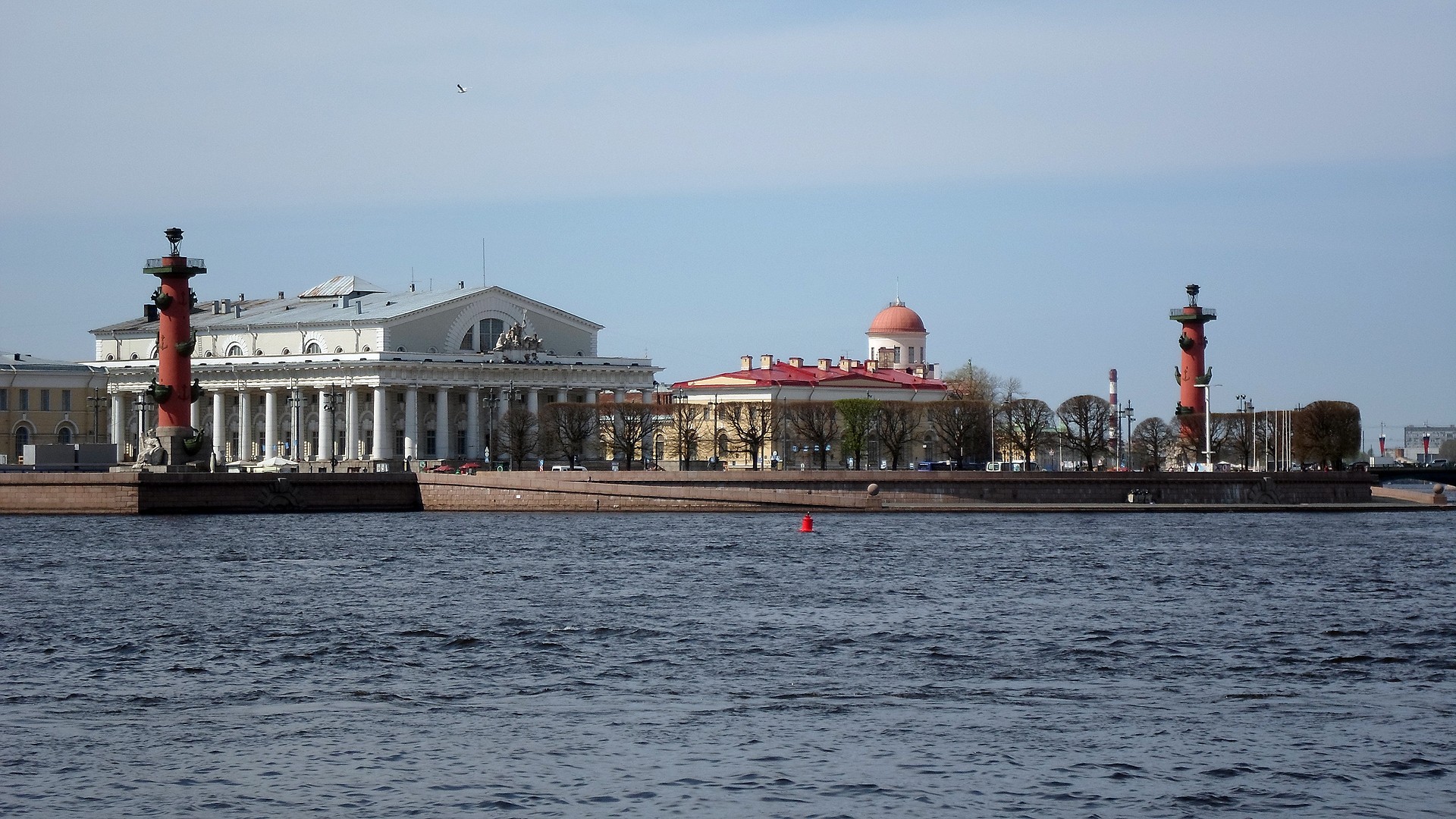 rostral, петербург