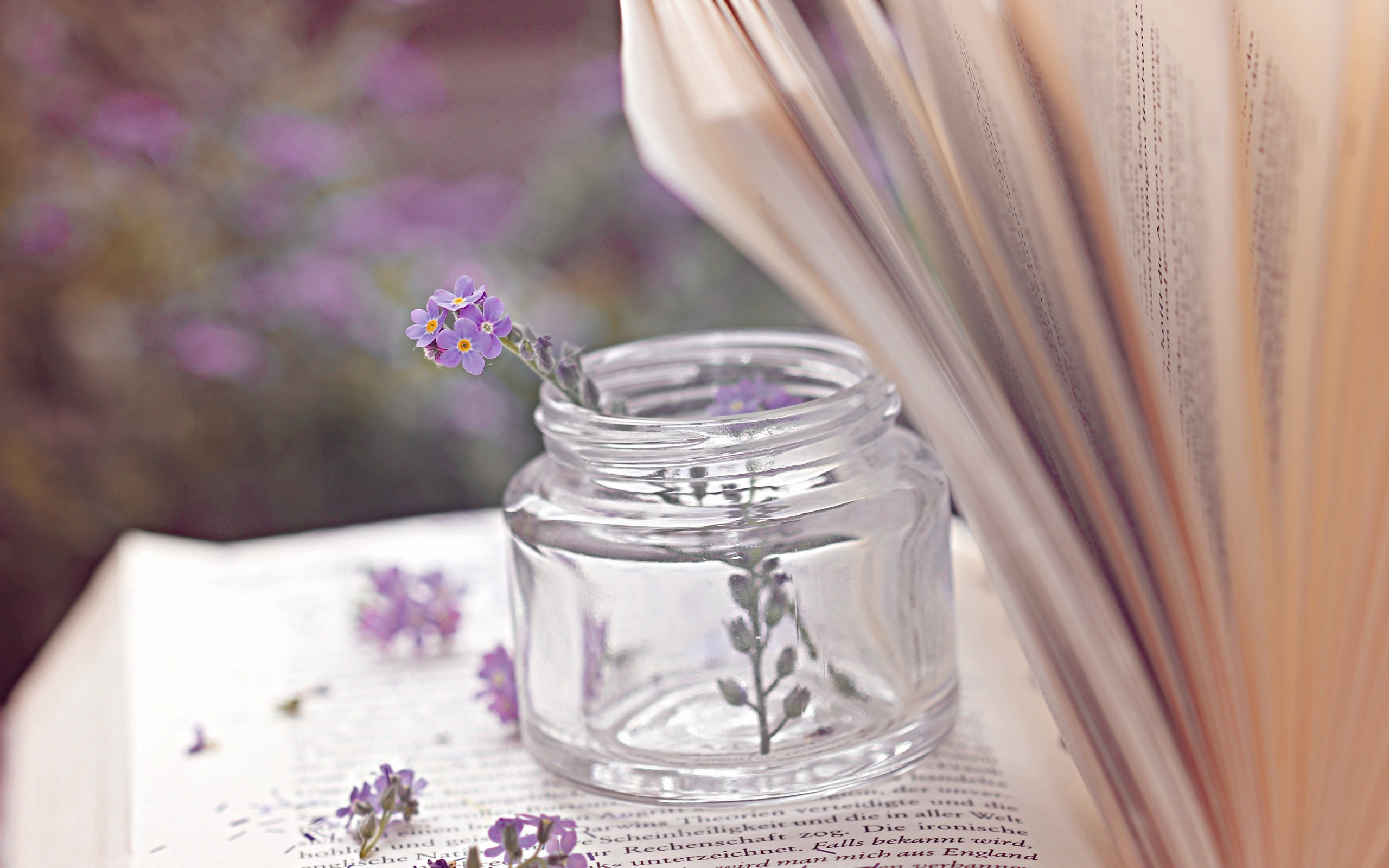 книга, цветы, винтаж