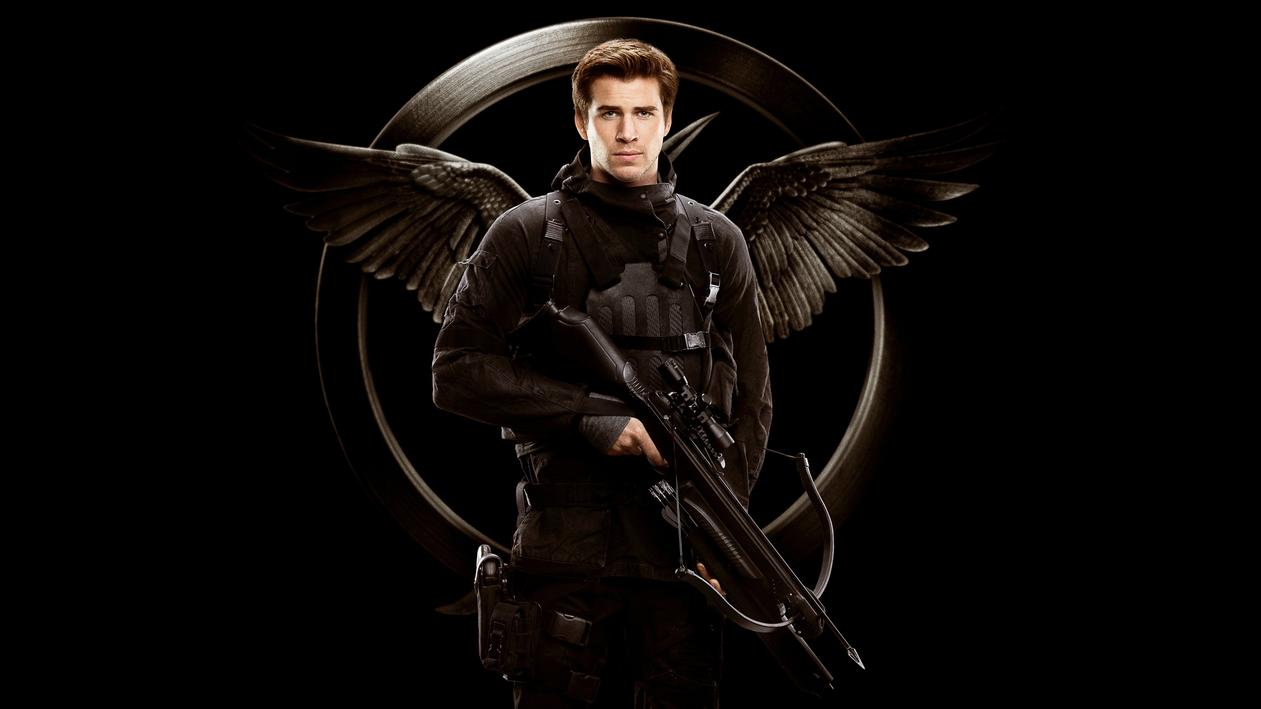 liam, hemsworth, desktop