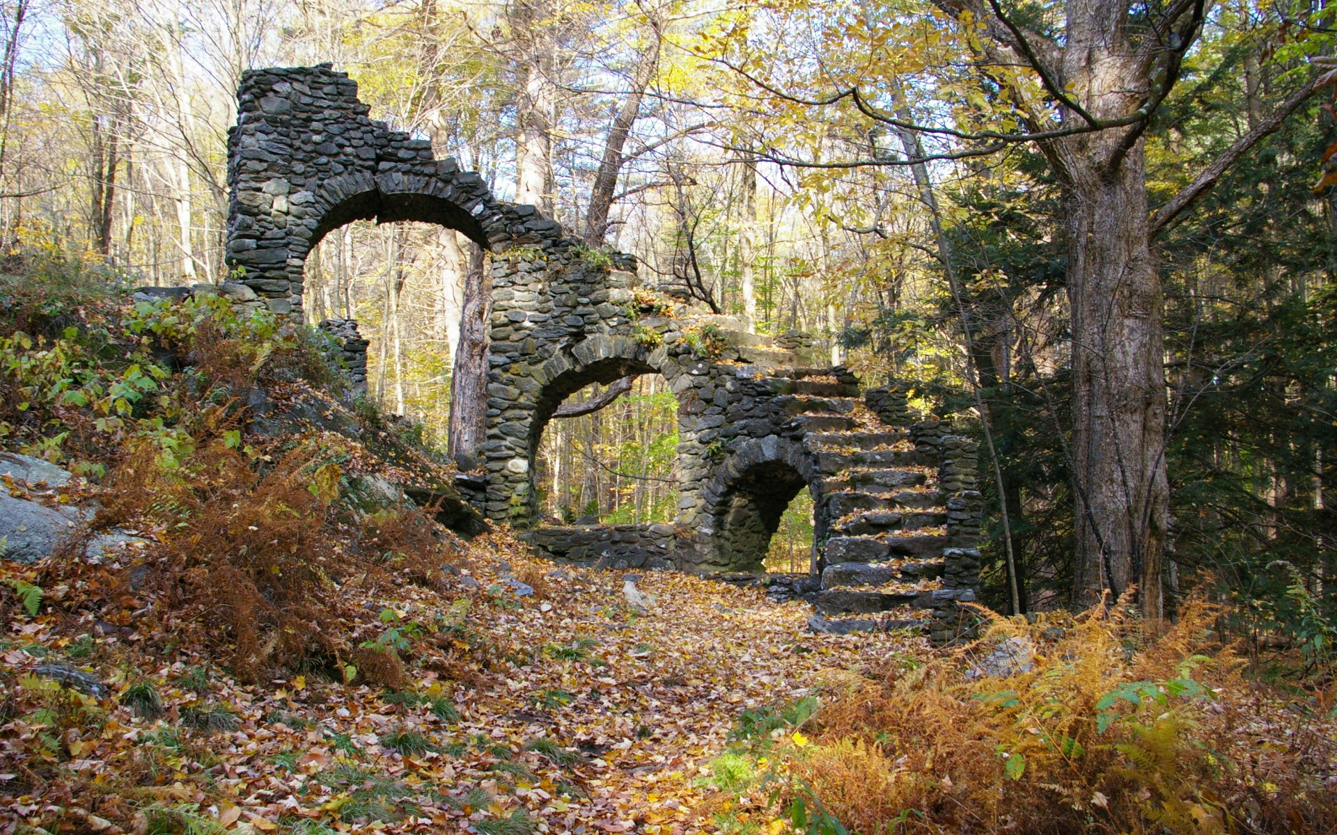искусство, запас