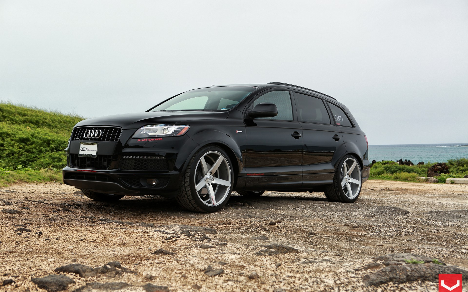 vossen a, аудио, цв