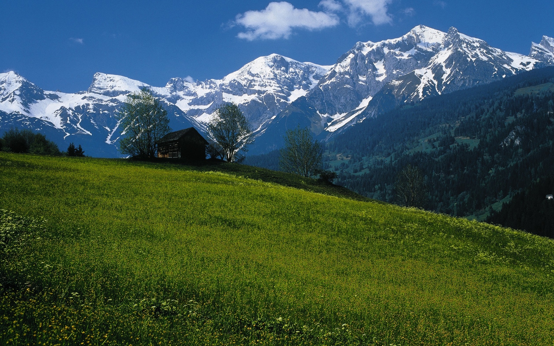 sterreich, alpen, etl