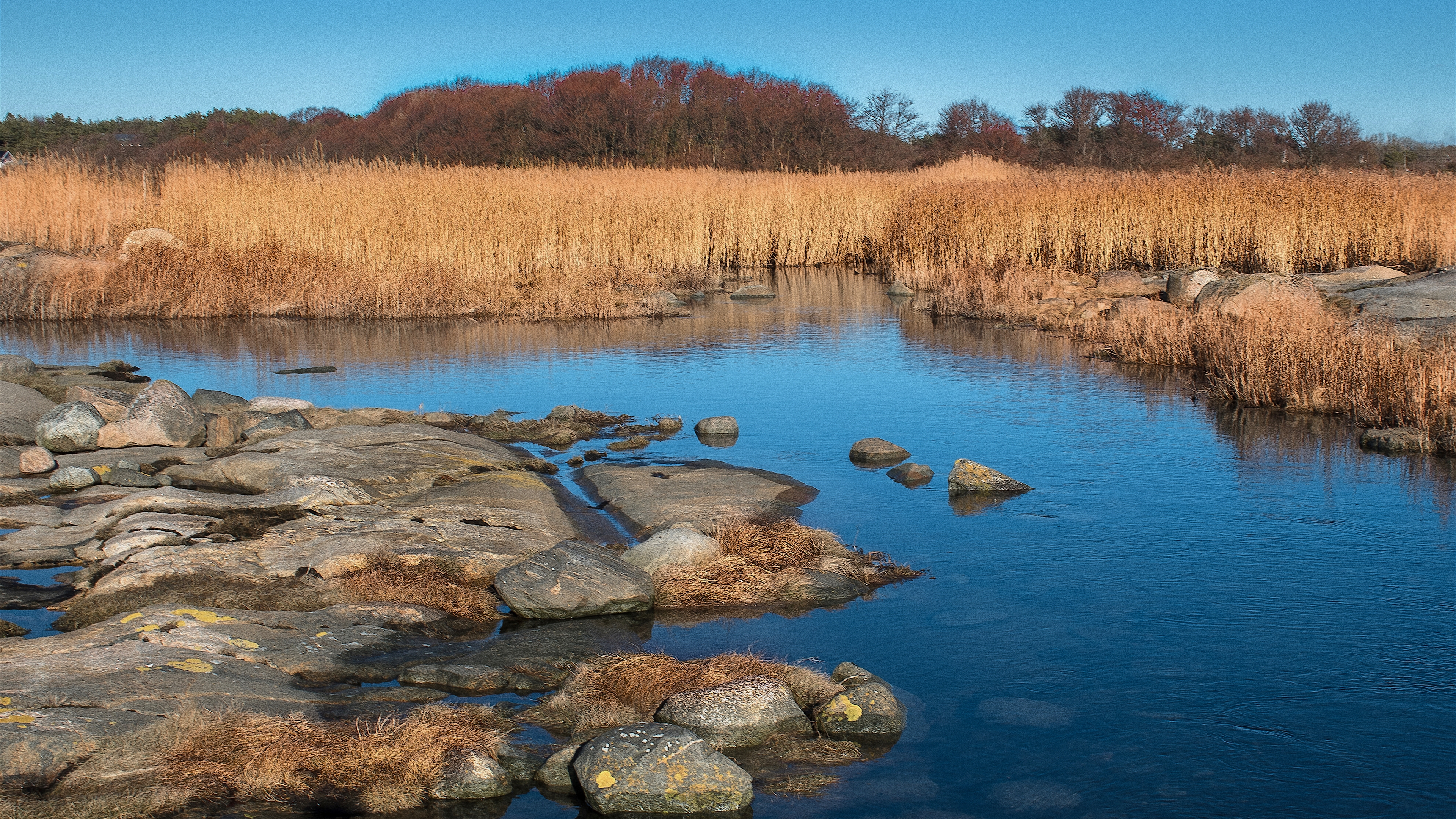 природа, фото, прогулка