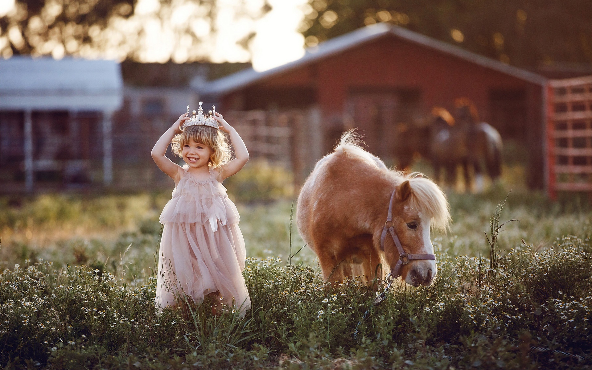 есть маленькая девочка, которая стоит в траве с лошадью