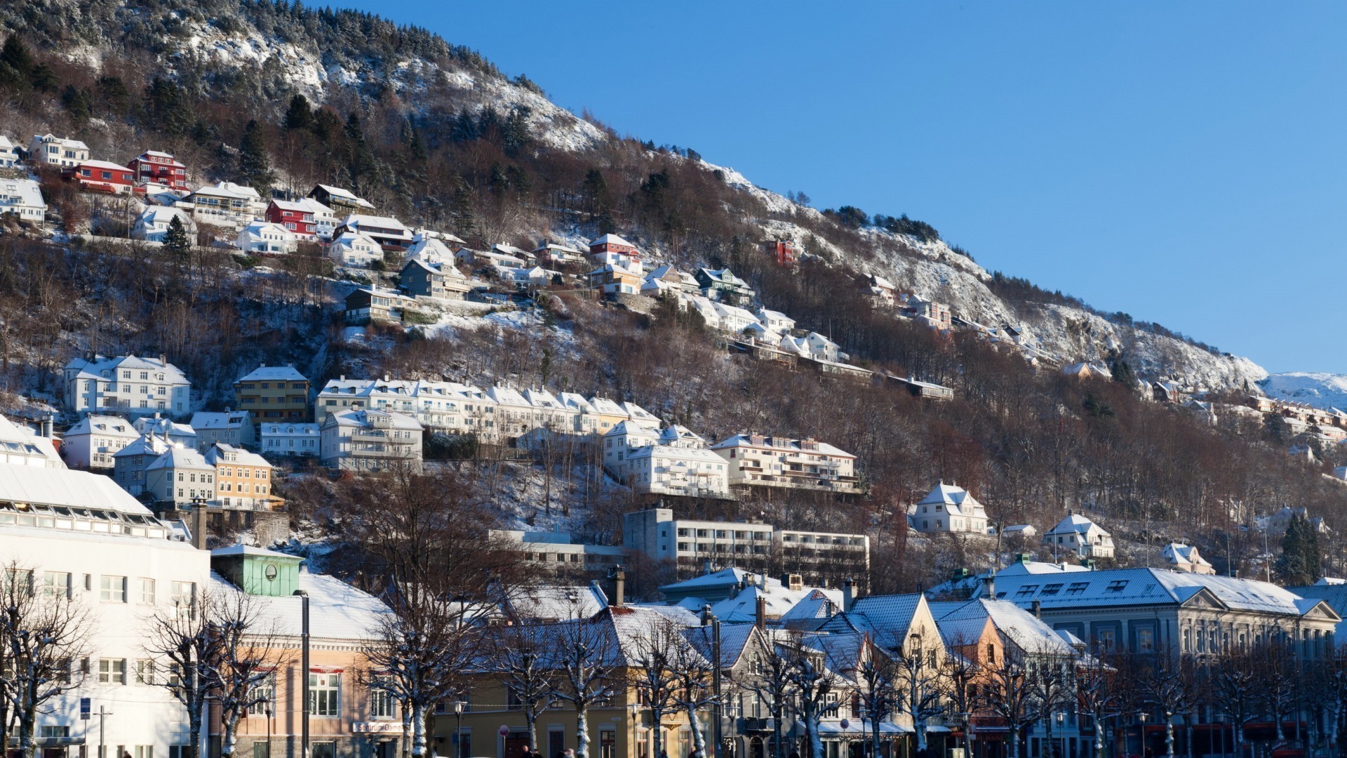 норвегия, bergen, mocah