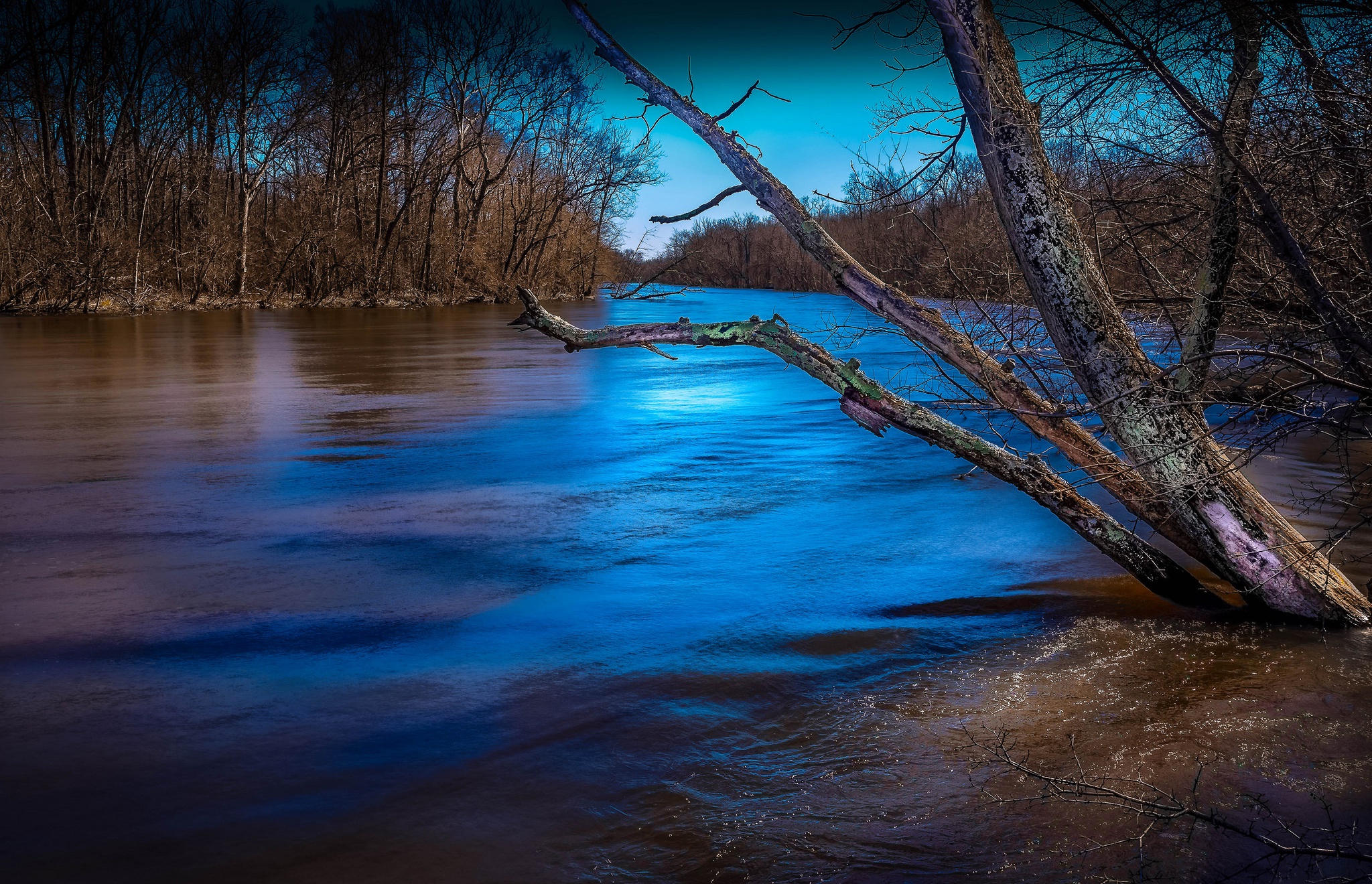 киви, каламазоо, кукла