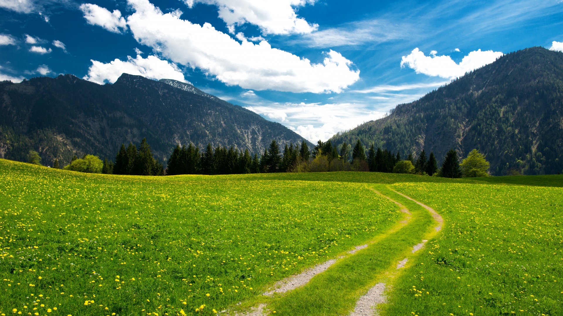 горы, пастбища