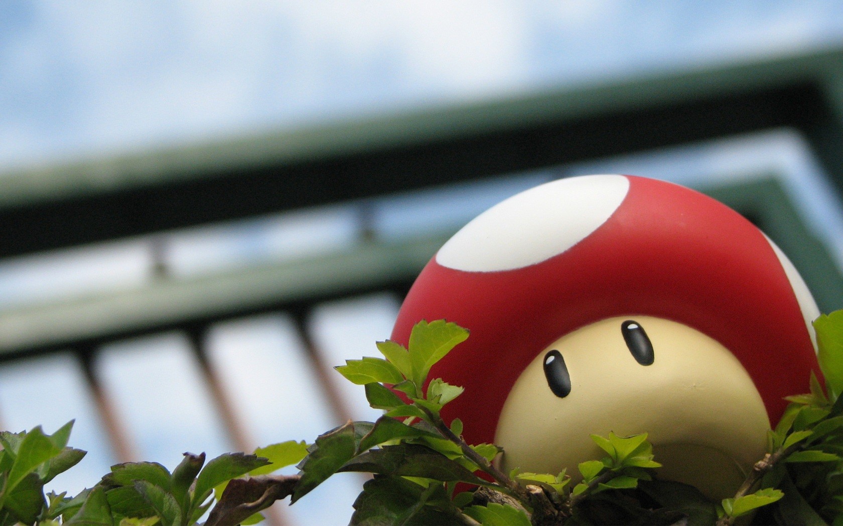 маляр, гриб, игра