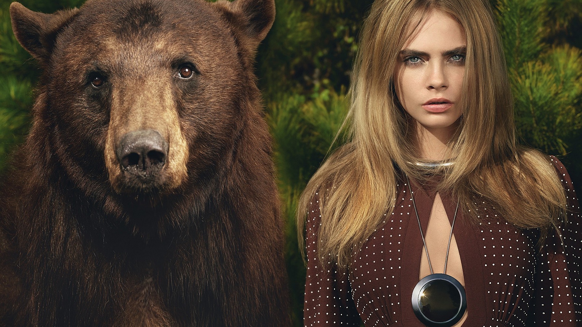 бритые, кара, блондинки