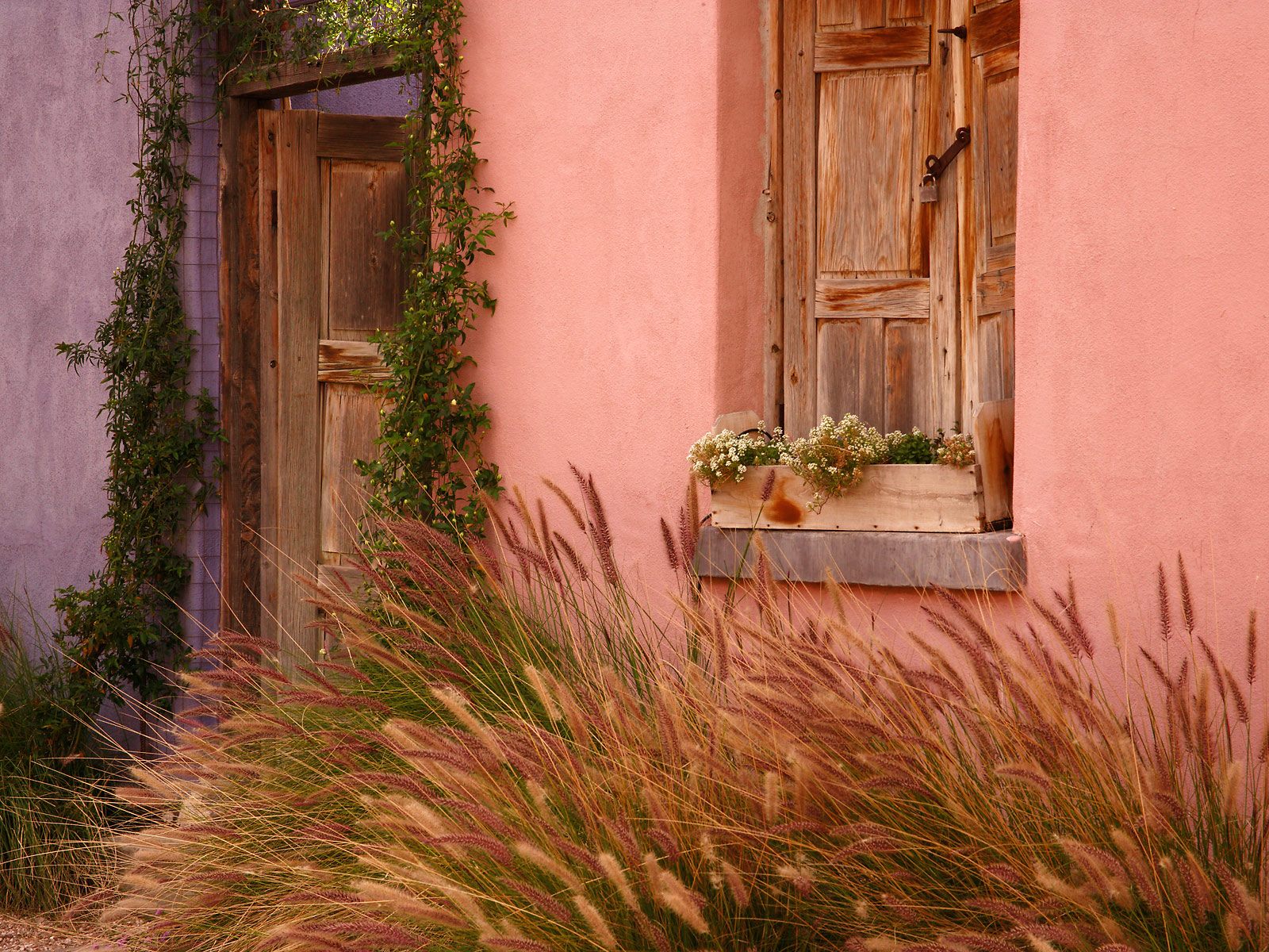 arizona, adobe, tucson