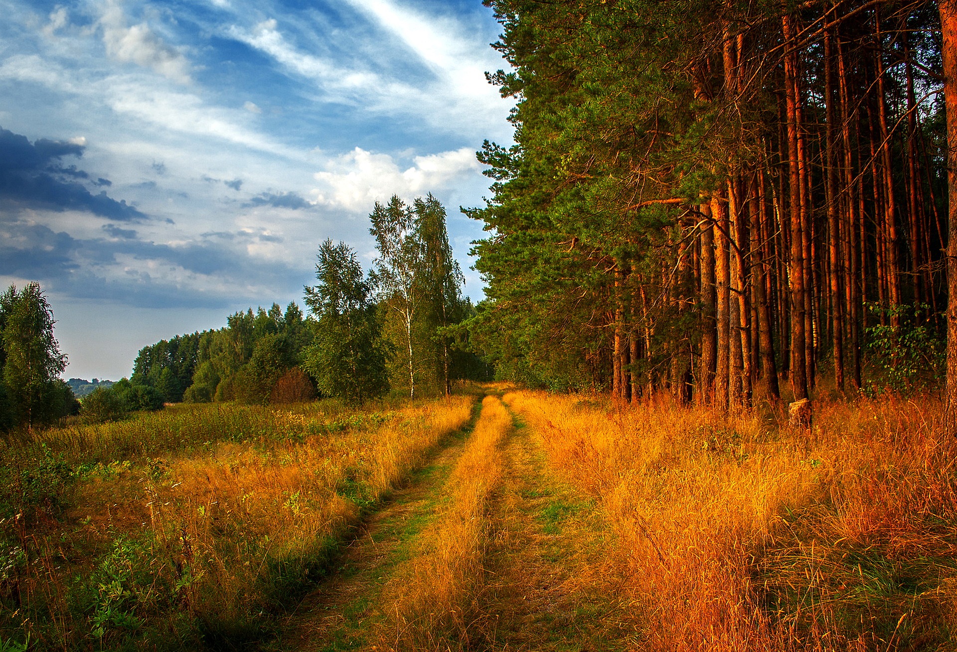 Природа 262402