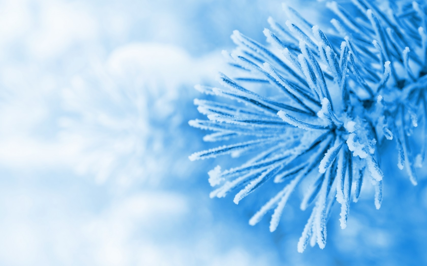 winter, schnee