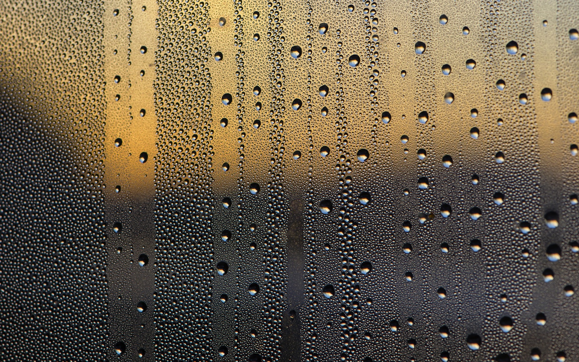 drizzle, стекло, роза