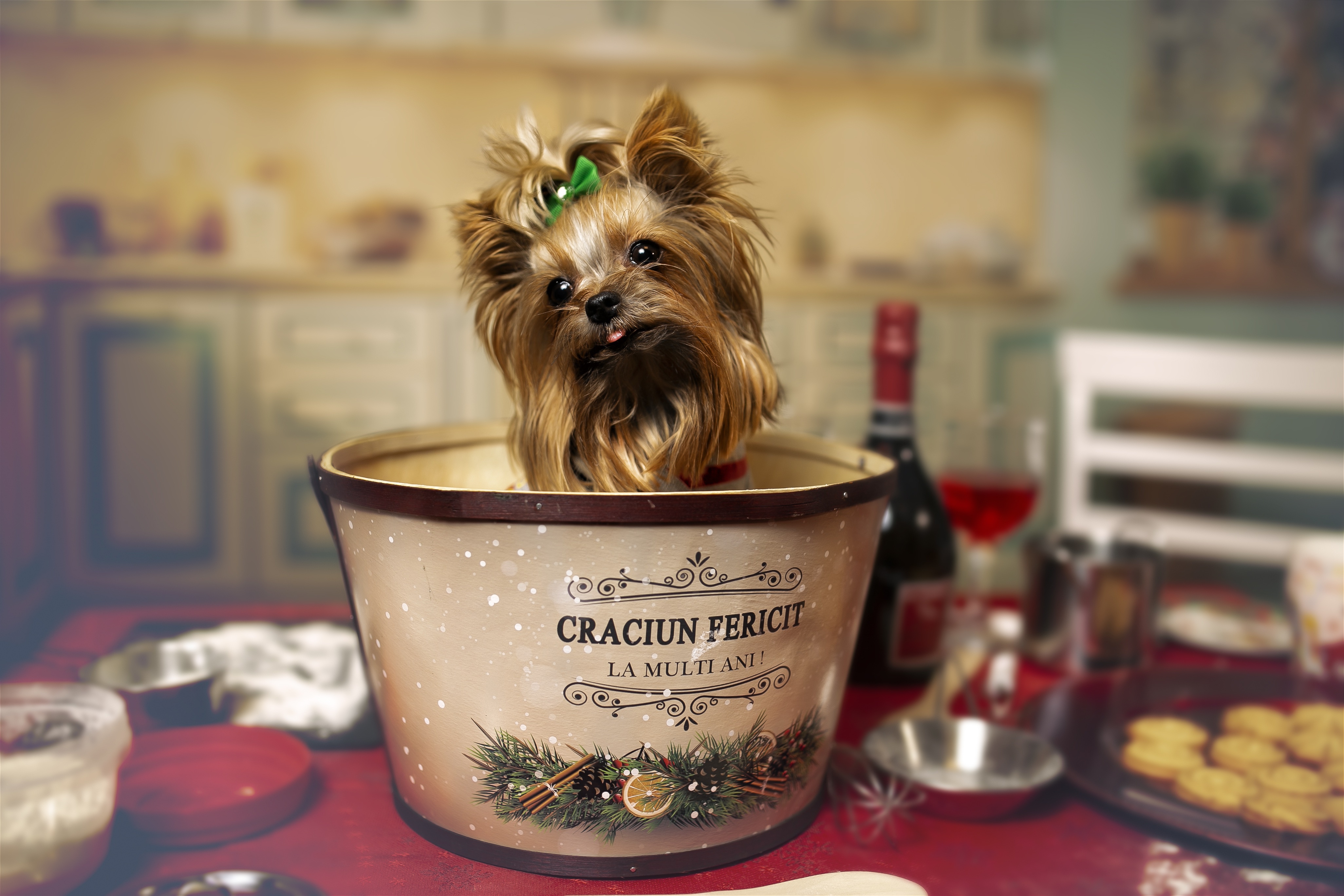 крачун, крачун, pixabay