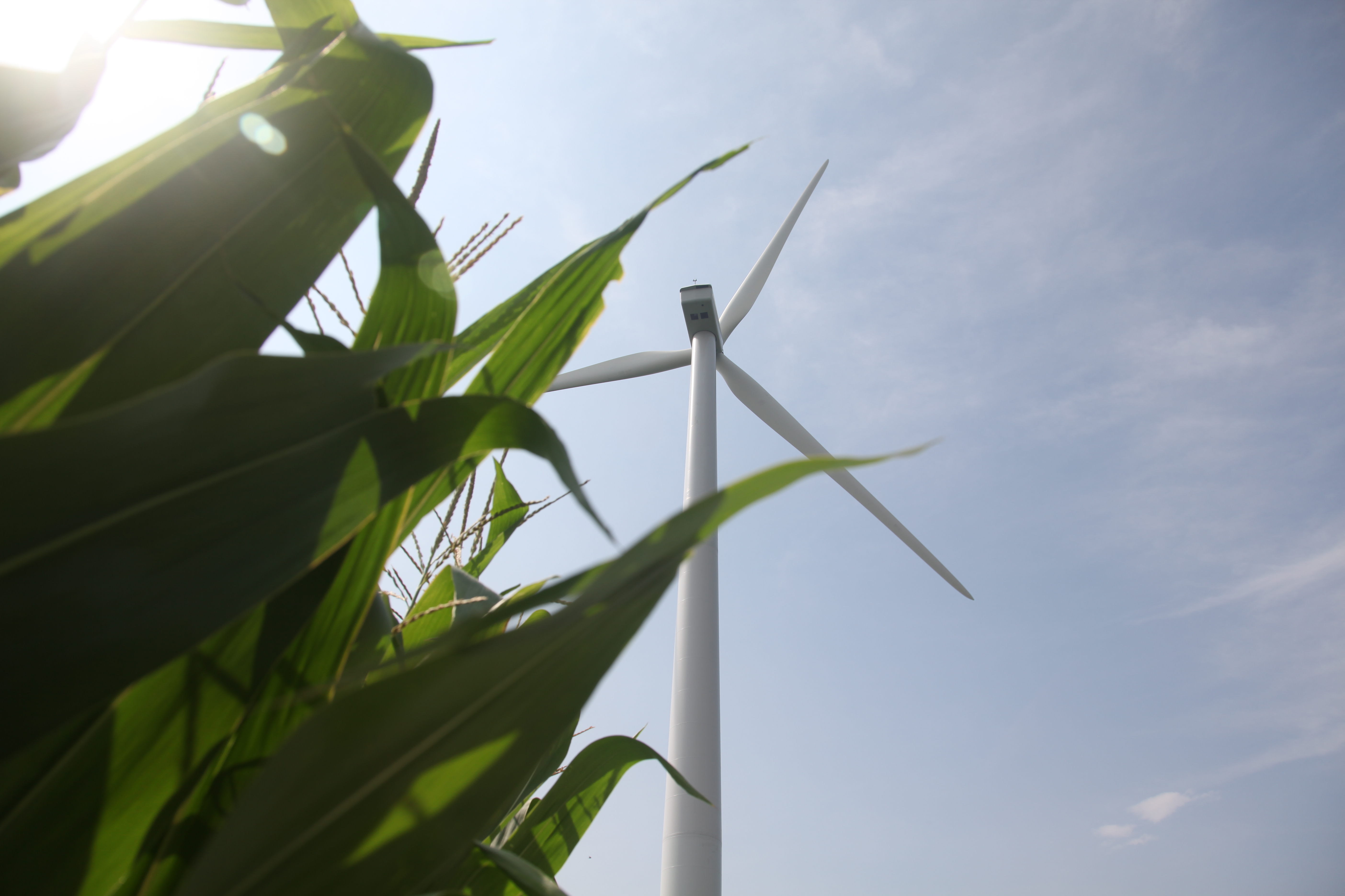 No 89296 Разрешение 5616x3744