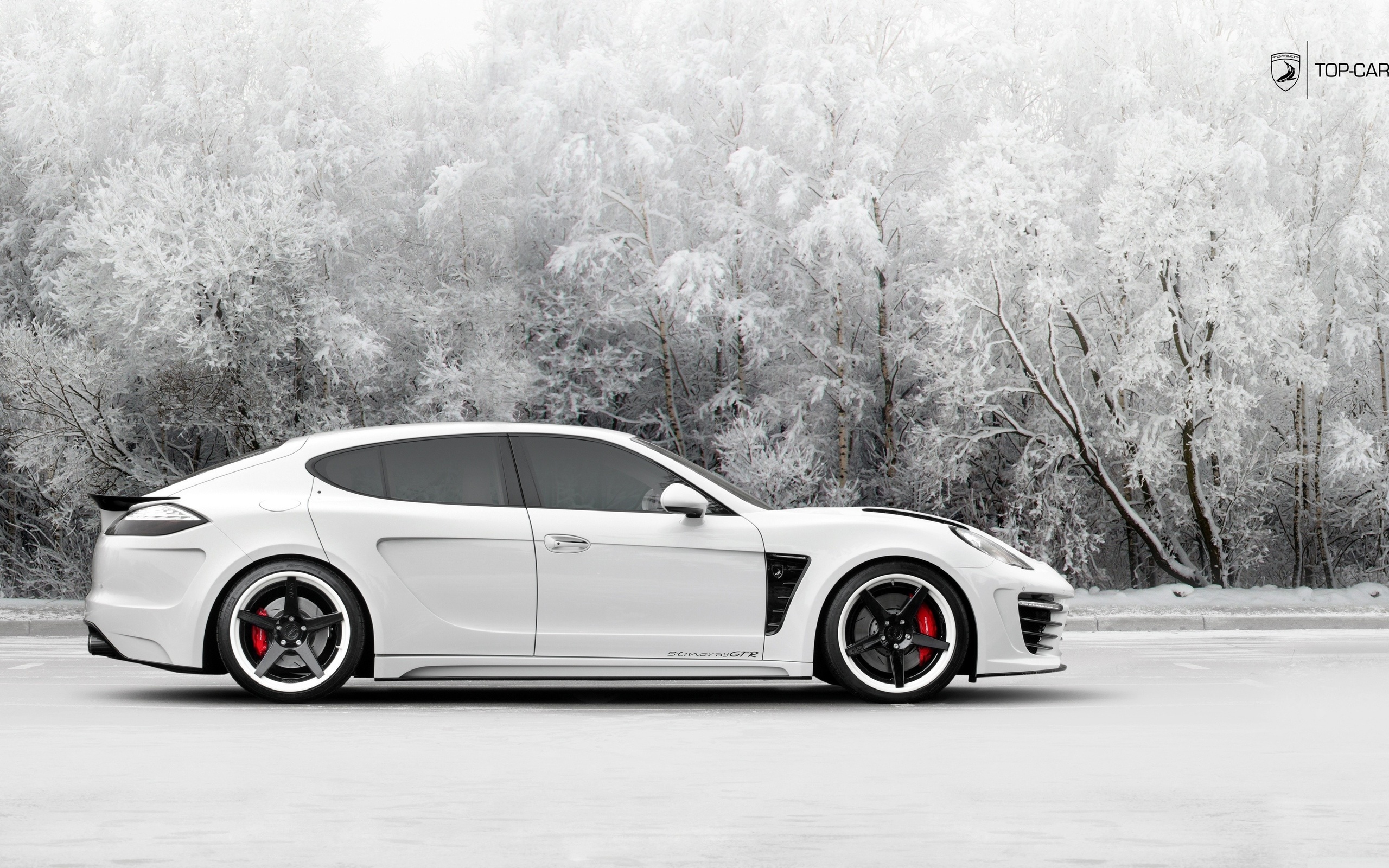 panamera, porsche, stingray
