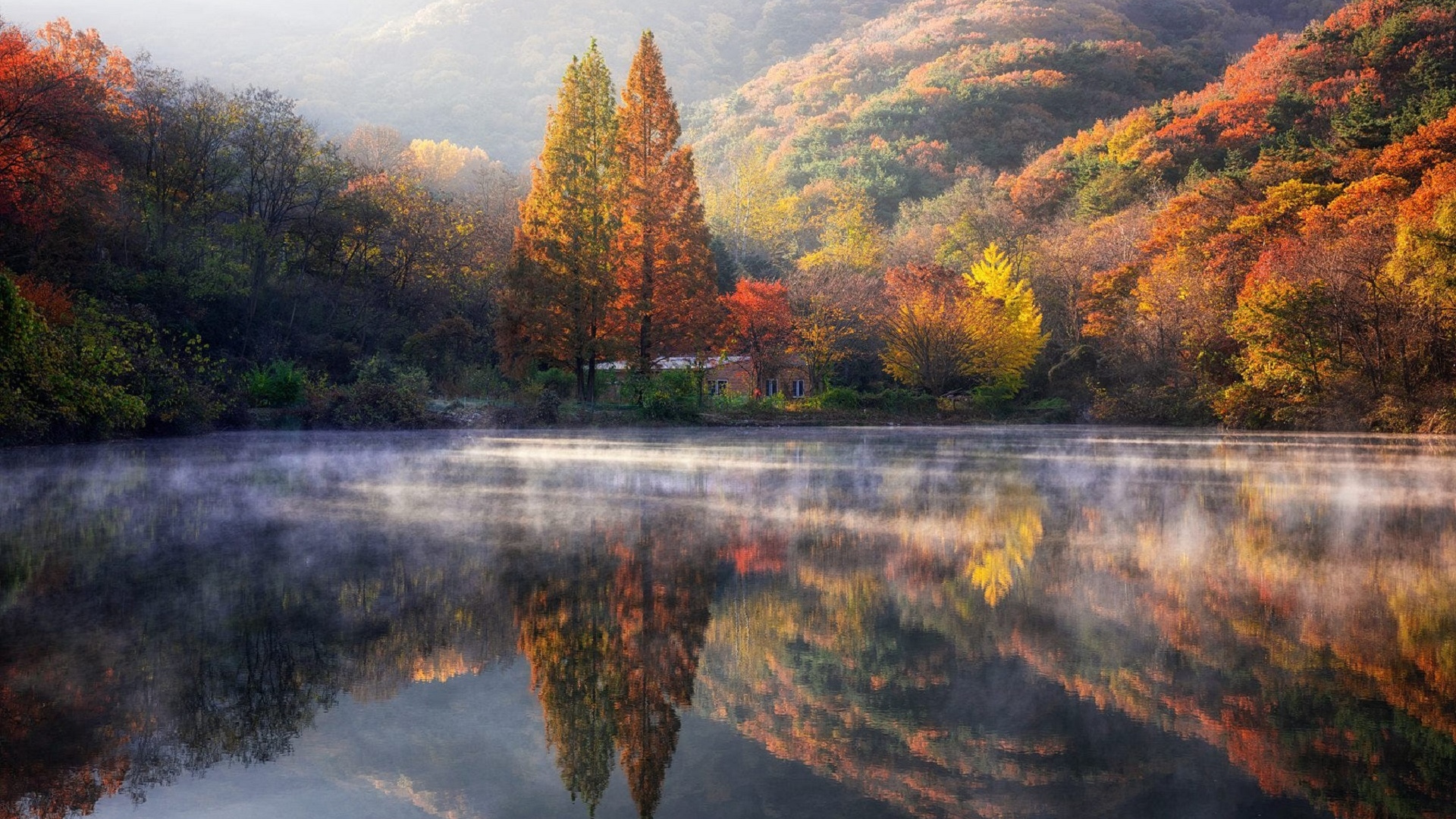 отражение, аргентина, осень