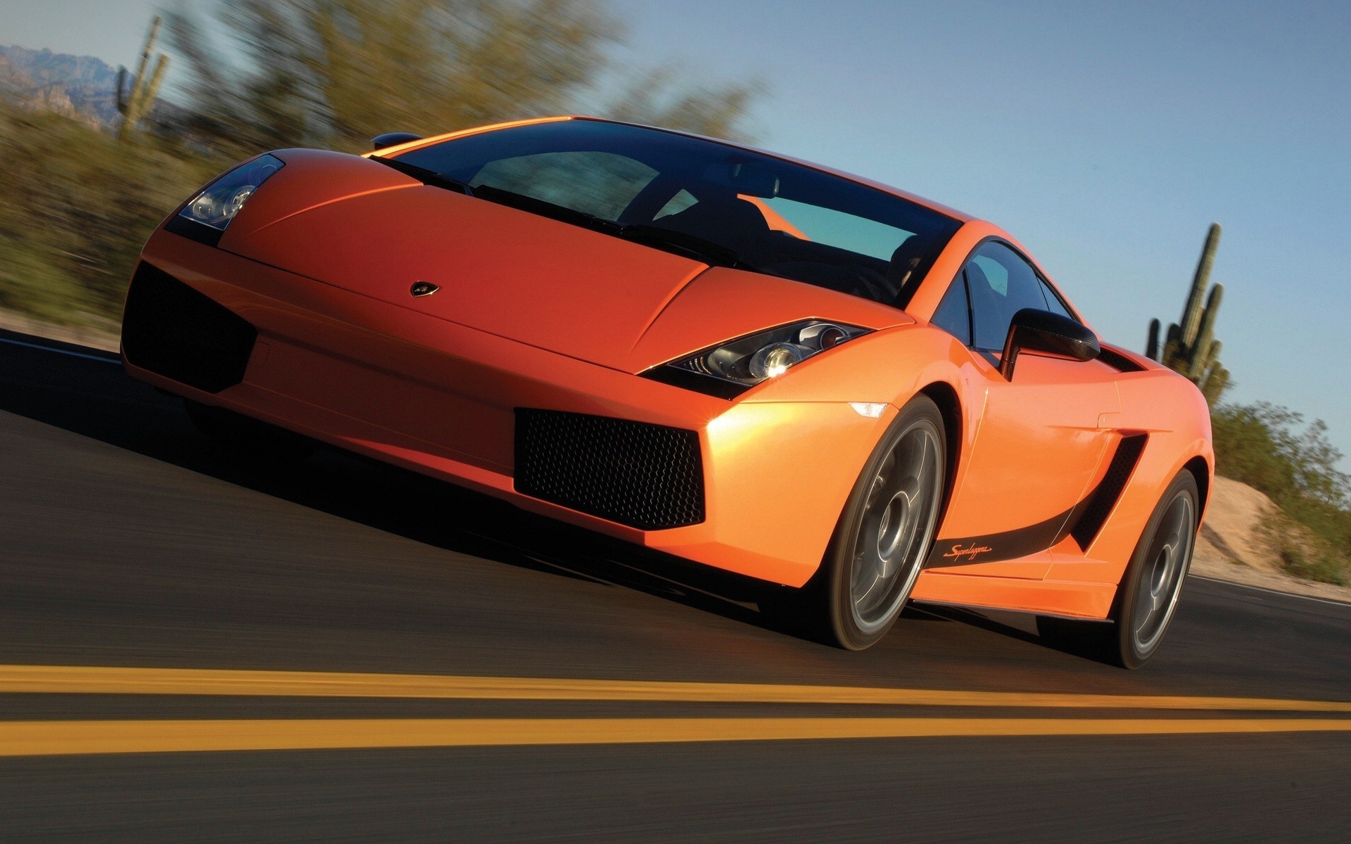 gallardo, superleggera, lamborghini