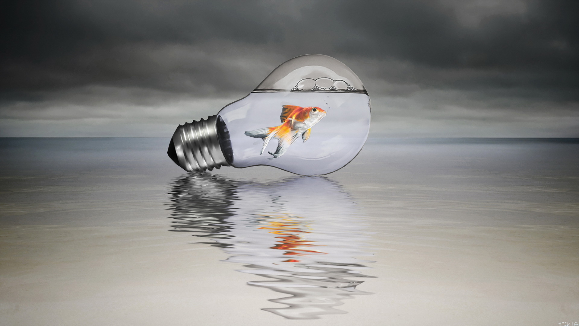 twitter, шапки, facebook