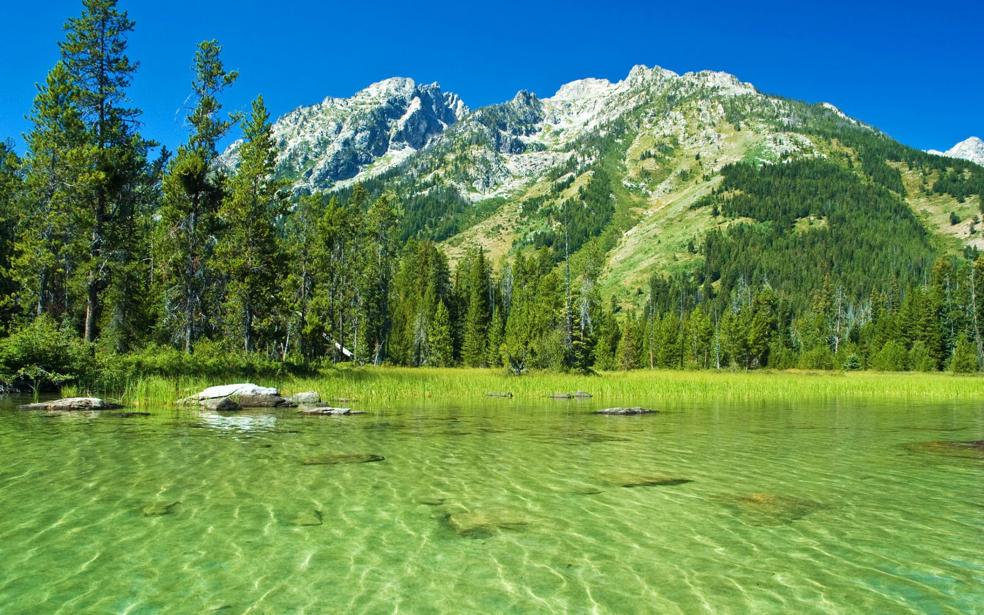 секс, парк