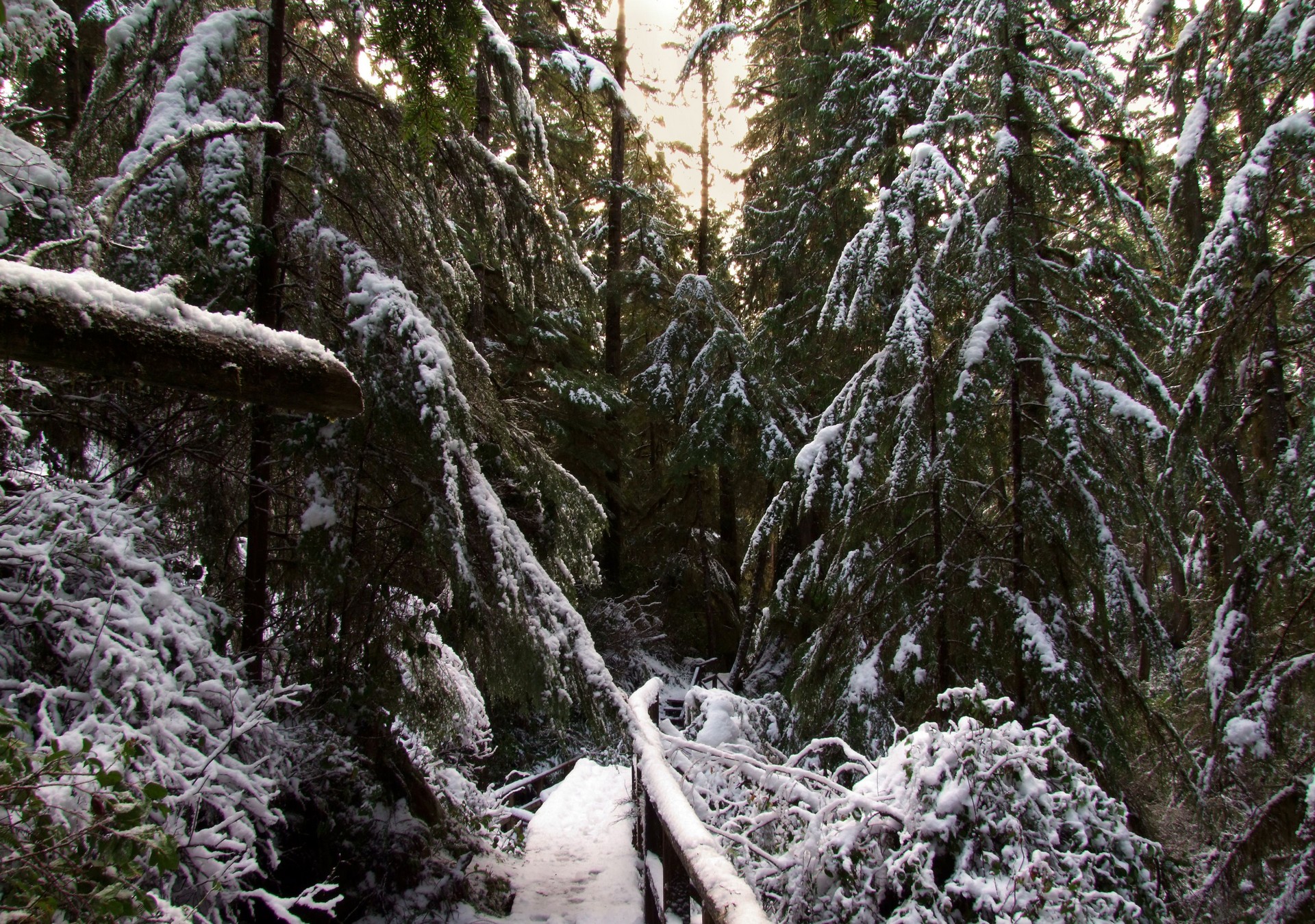 fore, ucluelet, northern